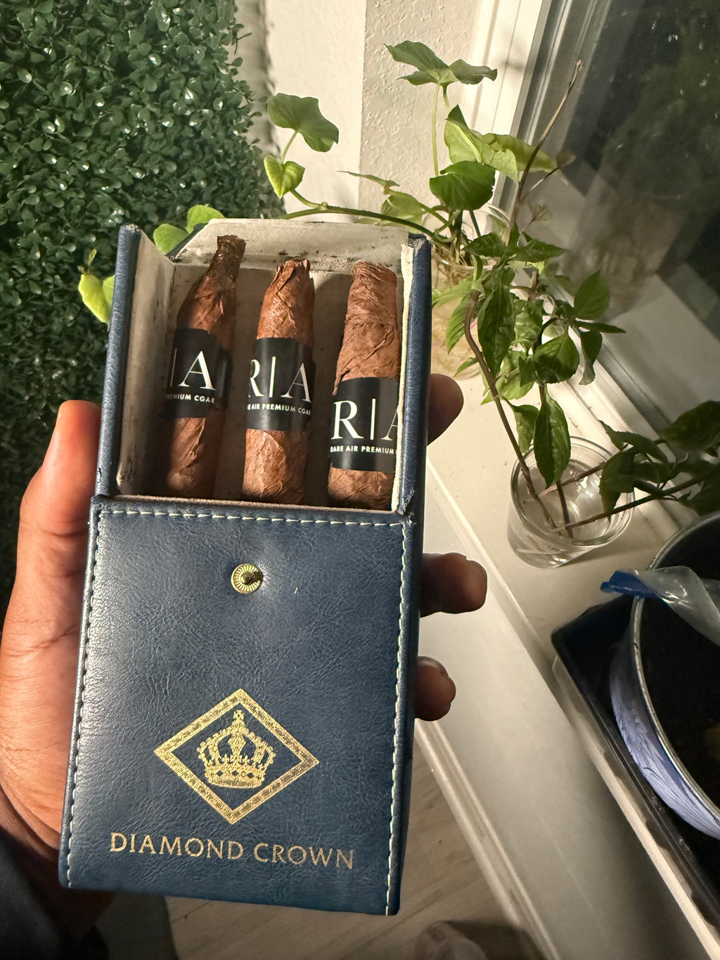 Hand Rolled C-Gar – Rare Air Store Front